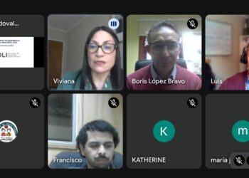 Invitan a municipios de Aysén a postular a la Estrategia de Desarrollo Local Inclusivo (EDLI)