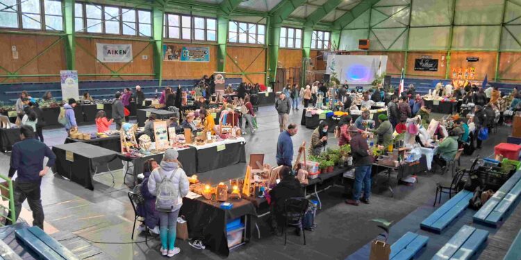 Feria y Expo en Puerto Aysén celebrará el día de los pueblos originarios