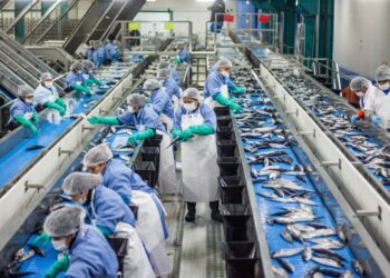 Desempeño económico de Aysén: PIB se desploma casi 10% en el primer trimestre del año