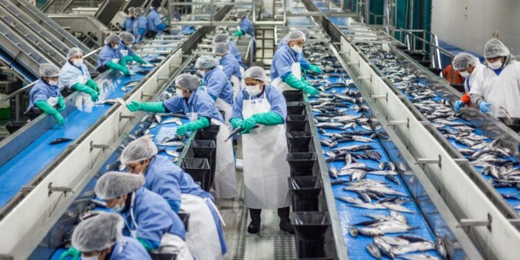 Desempeño económico de Aysén: PIB se desploma casi 10% en el primer trimestre del año