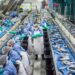 Desempeño económico de Aysén: PIB se desploma casi 10% en el primer trimestre del año