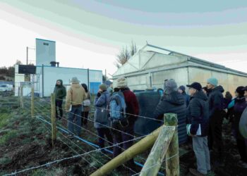 Charla-taller de INIA promueve prácticas de riego sostenibles en Coyhaique