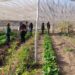 INDAP e INJUV lanzan la primera consulta ciudadana digital sobre juventud rural.