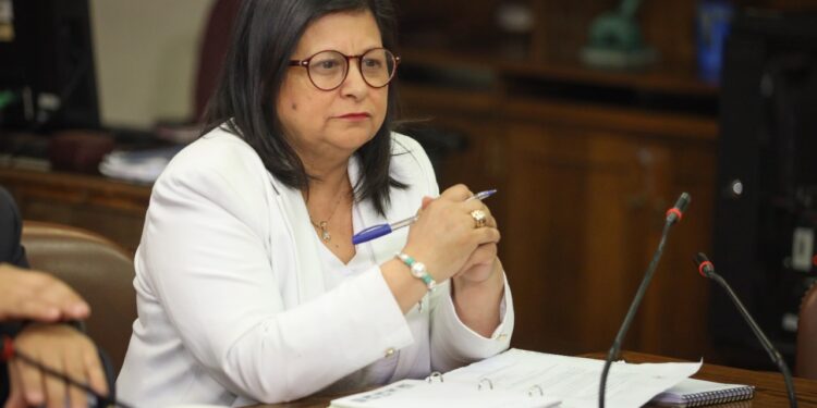 Diputada Marcia Raphael solicita mayores recursos para el programa de subsidios térmicos en la región de Aysén
