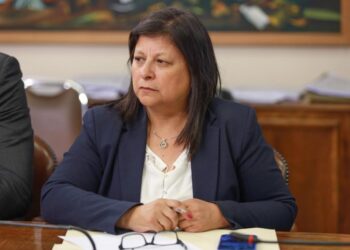 Diputada Marcia Raphael reitera llamado al gobierno a extender el subsidio eléctrico a la clase media y que sea automático