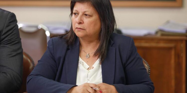 Diputada Marcia Raphael reitera llamado al gobierno a extender el subsidio eléctrico a la clase media y que sea automático