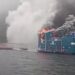 Incendio estructural destruye pontón en centro acuícola de Cooke Chile