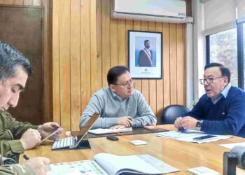Gobierno confirma todos los servicios para primarias de este domingo