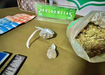 Como viene siendo la tónica, detenido por tráfico de drogas posee más de una decena de reiteraciones