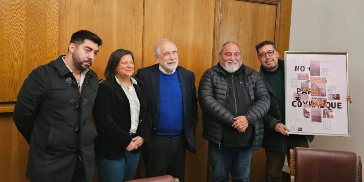 Diputada Marcia Raphael exige aumento de subsidios de revestimiento térmico en Aysén