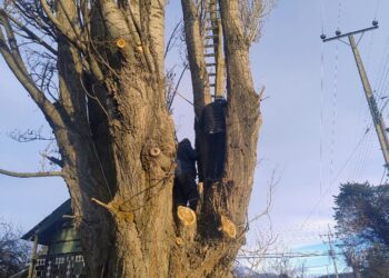 Inicia «Quiero Mi Barrio Cochrane»: Preparativos para el invierno en la comunidad