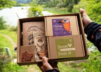 Southwood: Artesanía de la Patagonia que Conquista a Turistas y Busca Nuevos Horizontes