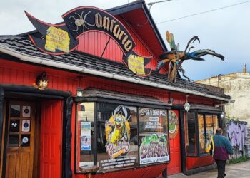 Fiscalía de Aysén solicita prisión preventiva para joven imputado por robo en restaurante