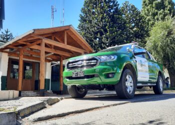 Sujeto con amplio prontuario y en libertad fue sorprendido robando en Coyhaique.