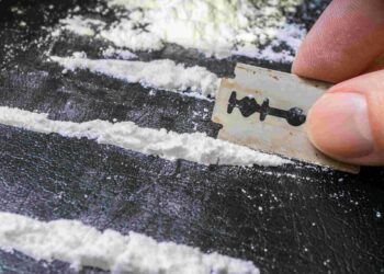 Desarticulan red de tráfico de drogas en Puerto Cisnes: Tres detenidos y más de un kilo de sustancias incautadas
