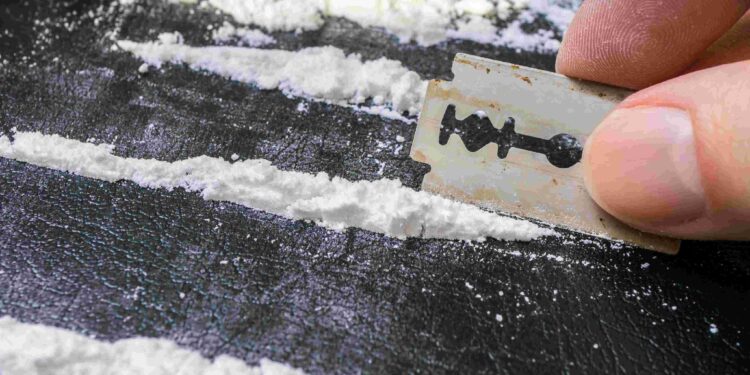 Desarticulan red de tráfico de drogas en Puerto Cisnes: Tres detenidos y más de un kilo de sustancias incautadas