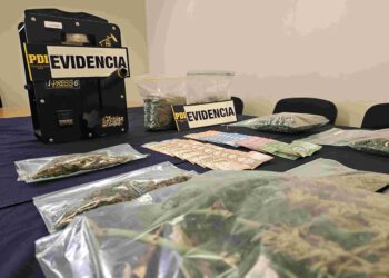 Detienen a cuatro personas por tráfico de drogas en Coyhaique: incautan más de un kilo de cannabis y nueve plantas