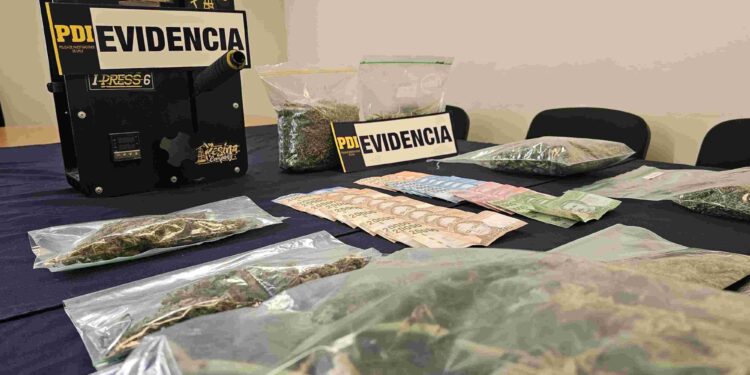 Detienen a cuatro personas por tráfico de drogas en Coyhaique: incautan más de un kilo de cannabis y nueve plantas