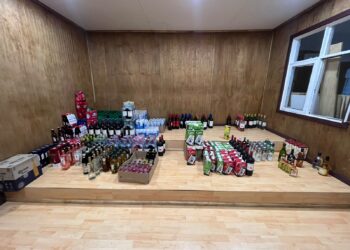 Detenida Regente de Local Comercial en Coyhaique por Falsificación de Instrumento Público y Venta Ilegal de Alcohol