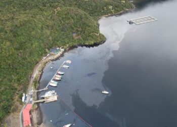 BIDEMA Aysén inicia investigación por contaminación en bahía de Puerto Chacabuco