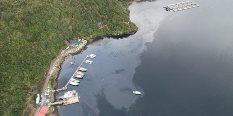BIDEMA Aysén inicia investigación por contaminación en bahía de Puerto Chacabuco