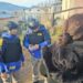 PDI golpea el crimen organizado en Coyhaique: Detenciones por tráfico de drogas y violaciones a la ley migratoria