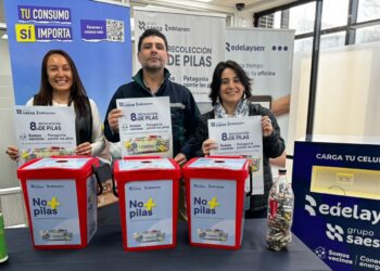 Edelaysen y Conaf Unen Fuerzas para Impulsar Reciclaje de Pilas en Aysén