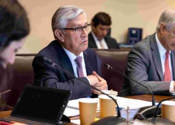 Senador Sandoval pide urgencia al MINAGRI para transformar en hechos concretos trabajo de la mesa lanera