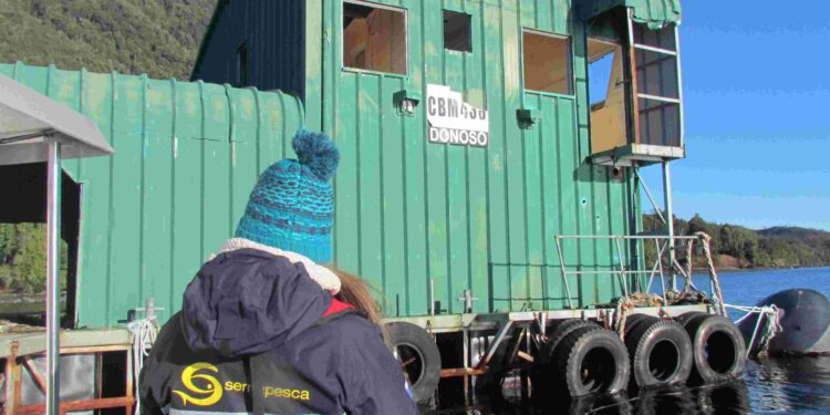 Sernapesca inicia fiscalización por denuncias de contaminación en el litoral de Aysén