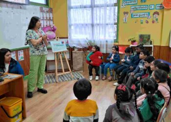 Charlas sobre tenencia responsable de mascotas para niños en Puerto Aysén