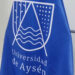 Rector Enrique Urra renuncia a la Universidad de Aysén