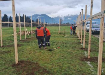 Aysén se prepara para celebrar Fiestas Patrias con ramadas tradicionales en un ambiente familiar
