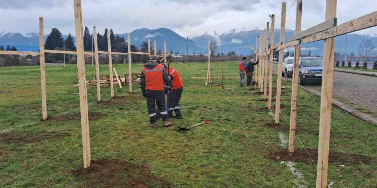 Aysén se prepara para celebrar Fiestas Patrias con ramadas tradicionales en un ambiente familiar
