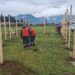 Aysén se prepara para celebrar Fiestas Patrias con ramadas tradicionales en un ambiente familiar