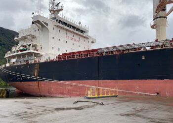 Emporcha reporta menos carga transferida pero aumento en ingresos en el primer semestre de 2024