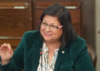 Diputada Raphael exige inclusión de Aysén en la ley corta: «No podemos seguir pagando el precio de ser una región aislada”