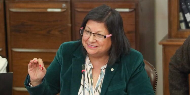 Diputada Raphael exige inclusión de Aysén en la ley corta: «No podemos seguir pagando el precio de ser una región aislada”