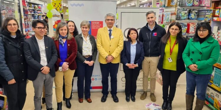 Aysén se suma a la implementación de la Ley Karin contra el acoso laboral
