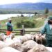 El SAG celebra 57 años de protección al sector agropecuario nacional