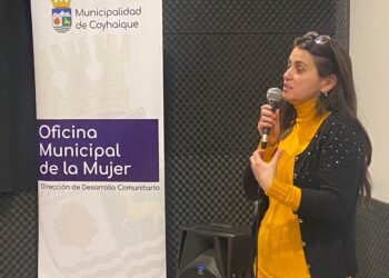 Funcionarios municipales de Coyhaique se capacitan en perspectiva de género y violencia