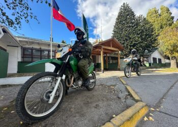 Insólito: ¡Detienen a sujeto en Coyhaique por segunda vez en 24 horas por delitos de hurto y robo con intimidación!