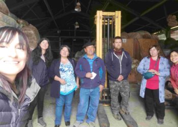 Concluye Programa de CORFO e INDAP para productores Laneros de la Provincia Capitán Prat