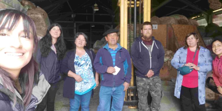 Concluye Programa de CORFO e INDAP para productores Laneros de la Provincia Capitán Prat