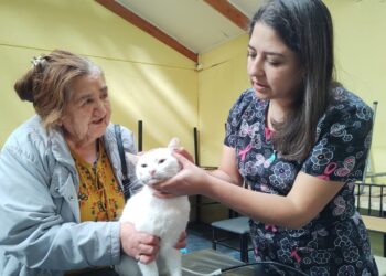 Hoy sábado se efectúa un operativo gratuito para mascotas en Puerto Aysén