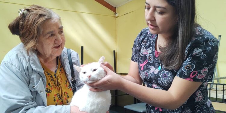 Hoy sábado se efectúa un operativo gratuito para mascotas en Puerto Aysén