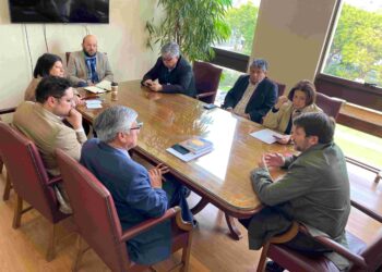 Senador Sandoval destaca proyecto para ampliar subsidio eléctrico ante incremento de tarifas