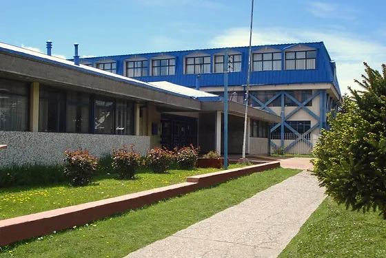 Nuevo hecho de violencia escolar en Coyhaique: Estudiante trans recibe golpiza al interior de liceo de la capital regional