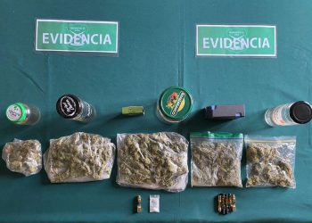 Melinka: Detienen a cinco personas con drogas en un control a aeronave particular