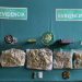 Melinka: Detienen a cinco personas con drogas en un control a aeronave particular