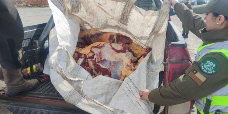 Decomisan más de 140 kilos de carne de dudosa procedencia en Chile Chico